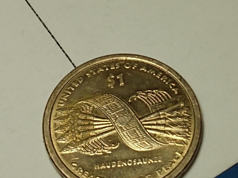 2010 D sacagawea Haudenosaunee dollar