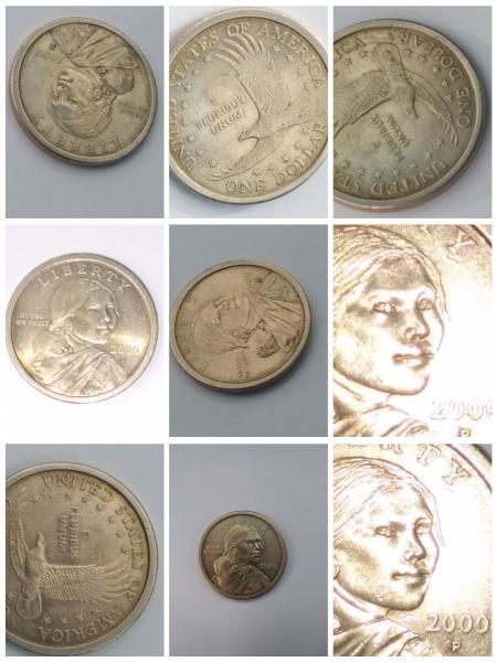 2000 P Sacagawea Dollar