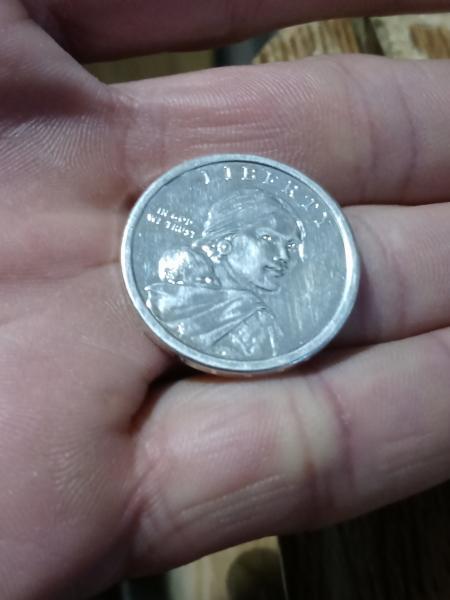 2011 D Sacagawea or native American dollar coin.…