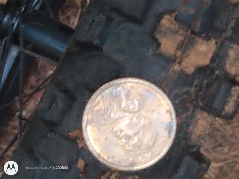 Gold dollar with sigawawa Indian lady on it
