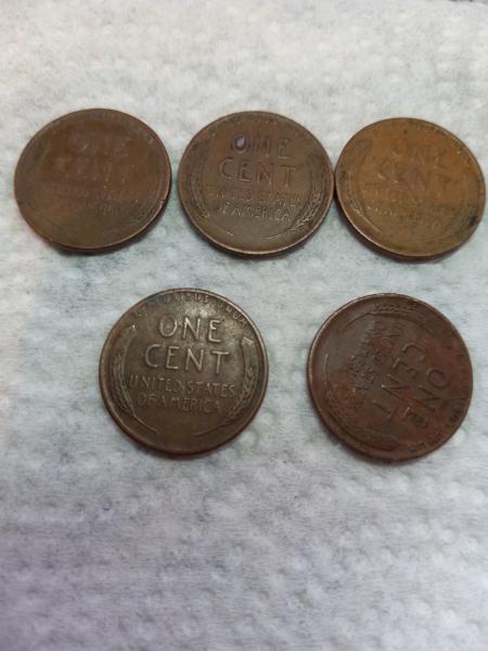Wheat back pennies