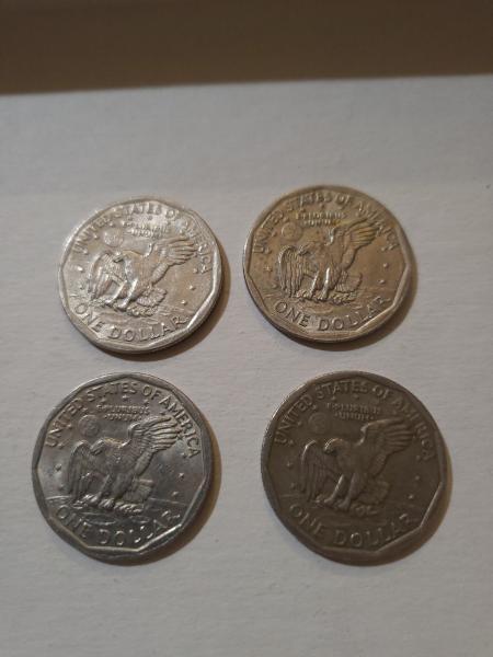Are these wide rimmed or narrow rimmed?