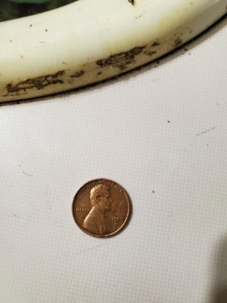 1957 no mint mark nickel and a 1969&hellip;
