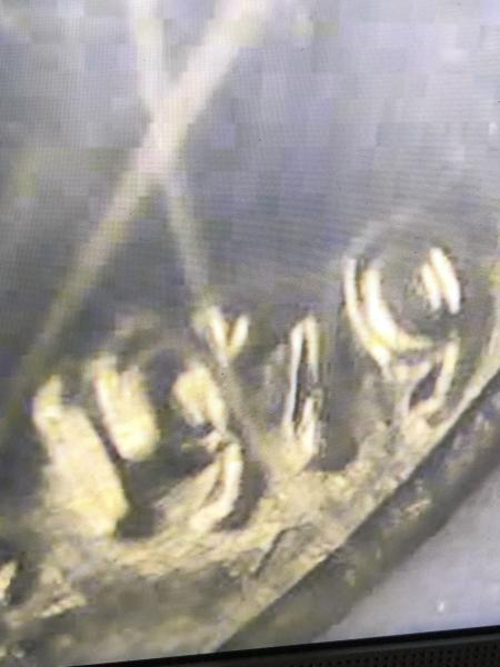 1979 dime strong doubling uncirculated