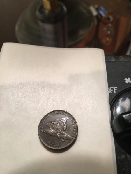 Penny with some kind of bird (hawk or&hellip;