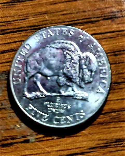 two speared bison nickels