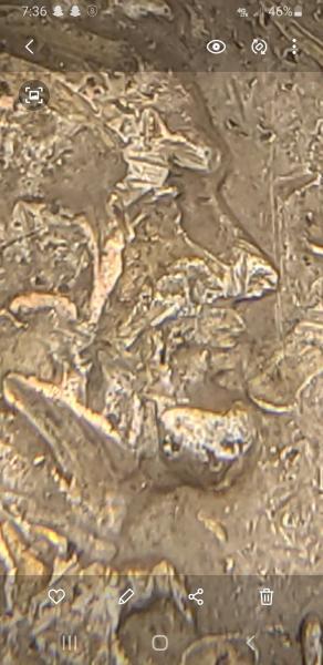 1951 penny, I think. It is double struck,&hellip;