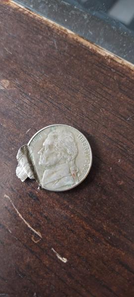 2003 p nickel what is the value of&hellip;