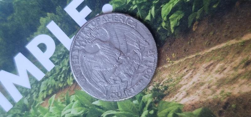 I believe this to be an error coin