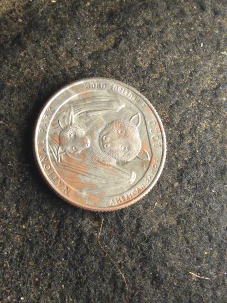 The quarter has copper and nickle on both&hellip;