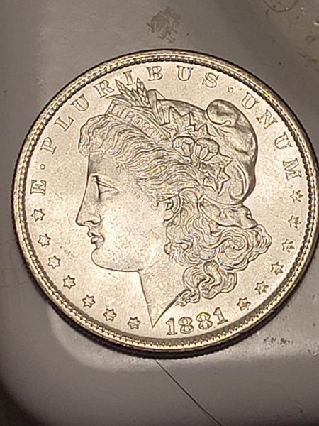 Silver Dollar