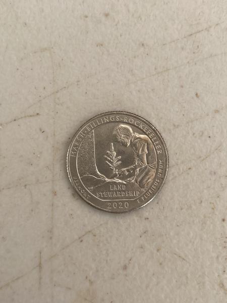 US quarter (P) 2020