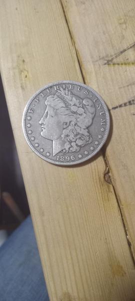 1896 one dollar coin