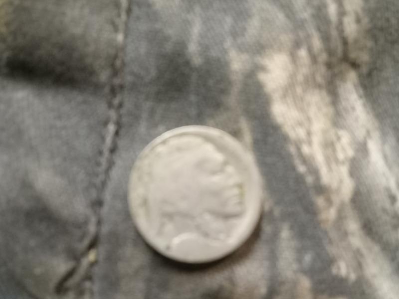 Buffalo nickel