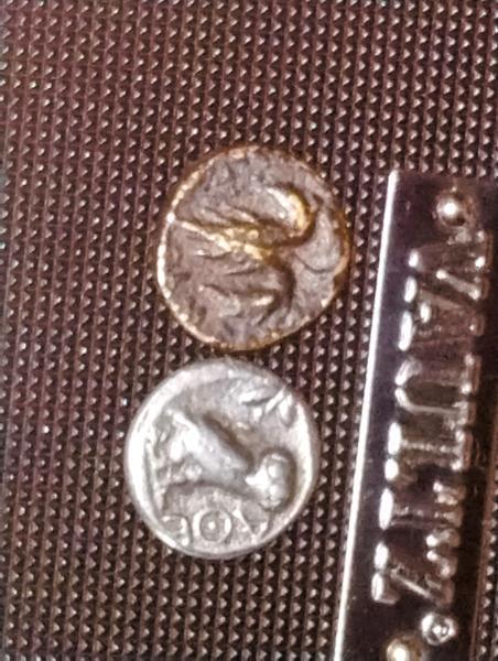 Front and backs of rare coins