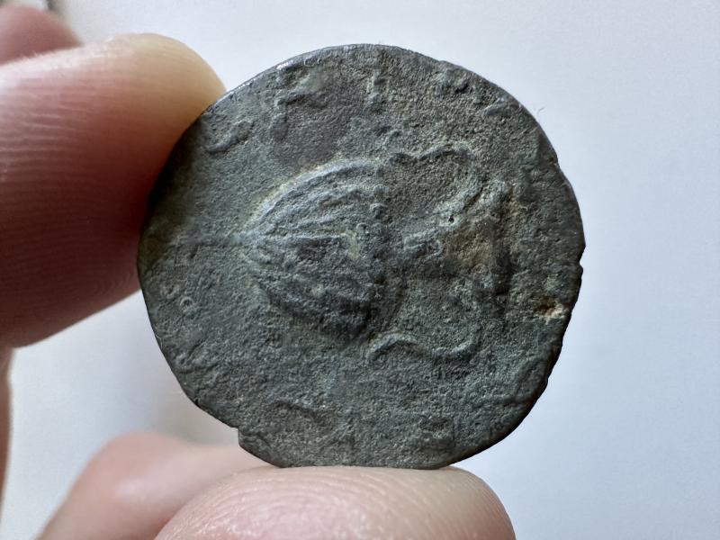 Bar Kochba, Large Bronze, 133/134 CE The rarest&hellip;