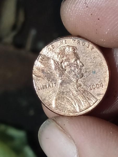2004 pennies with two ripples on left hand&hellip;