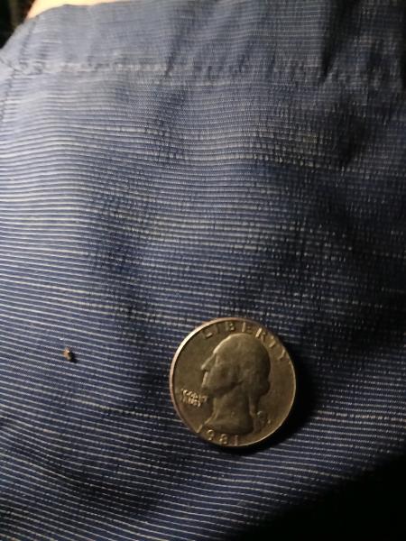 1981 quarter d mint mark error 2008 Alaska&hellip;