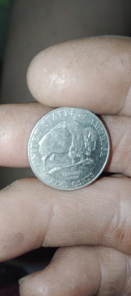 Buffalo nickel 2005